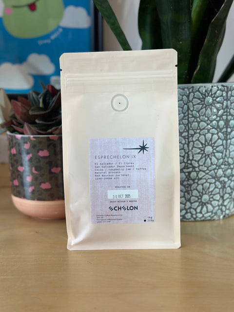 Echelon - El Salvador - [Our Current House Espresso]