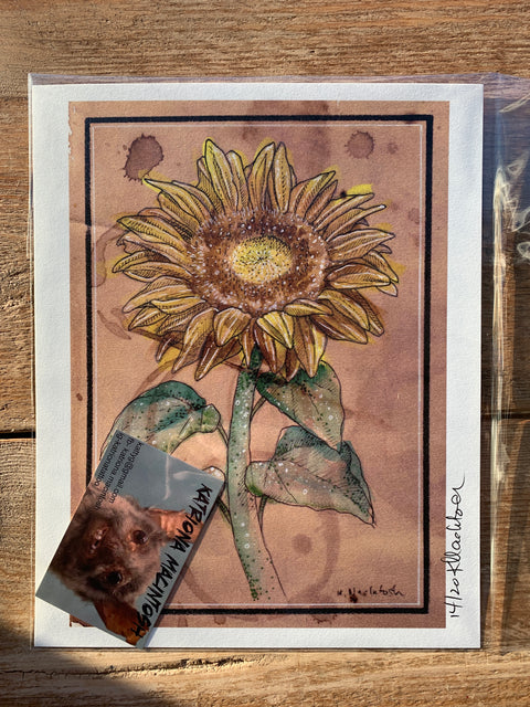 Katriona Macintosh Prints